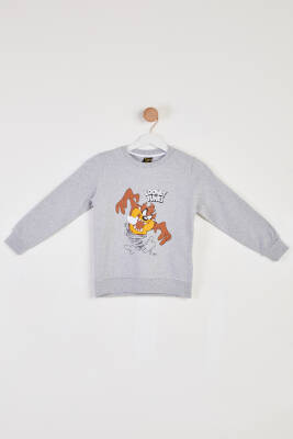 Erkek Çocuk Gri Baskılı Sweatshirt - 26439 - 1