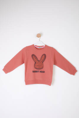 Kız Çocuk Gül Tavşan Sweatshirt - 26101 - 1